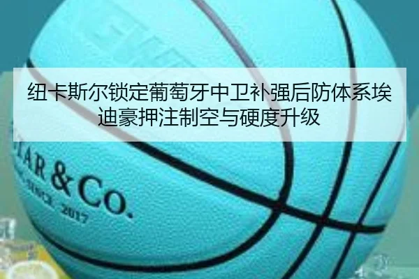 纽卡斯尔锁定葡萄牙中卫补强后防体系埃迪豪押注制空与硬度升级